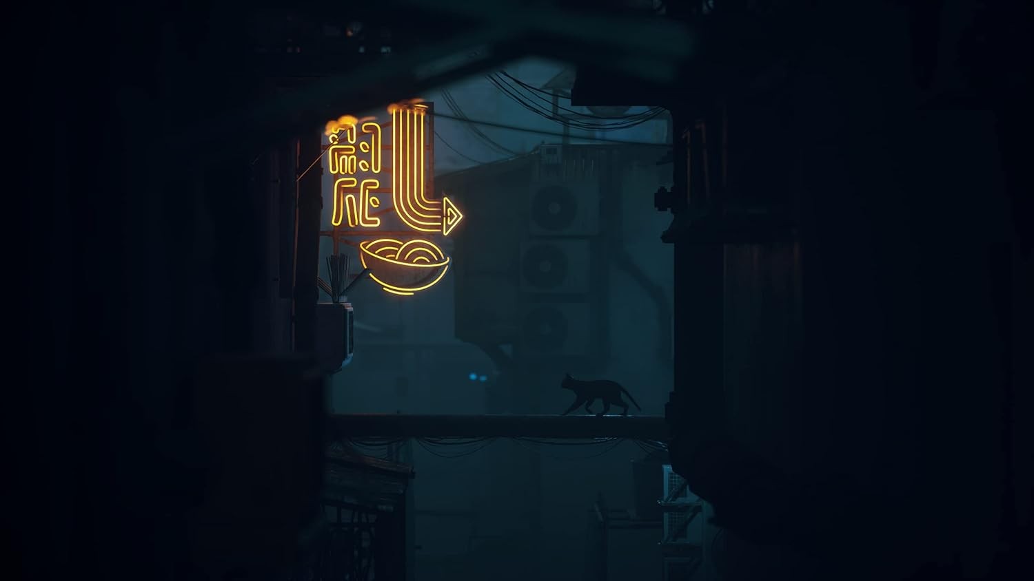46044654