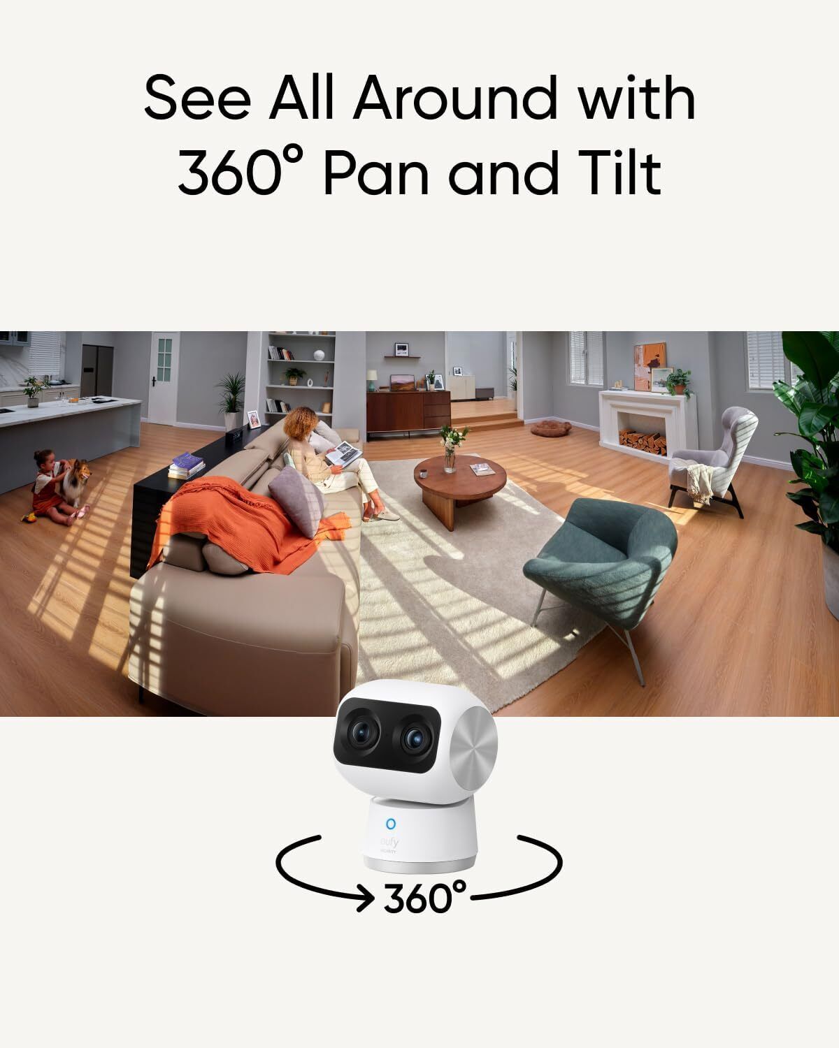 42565794