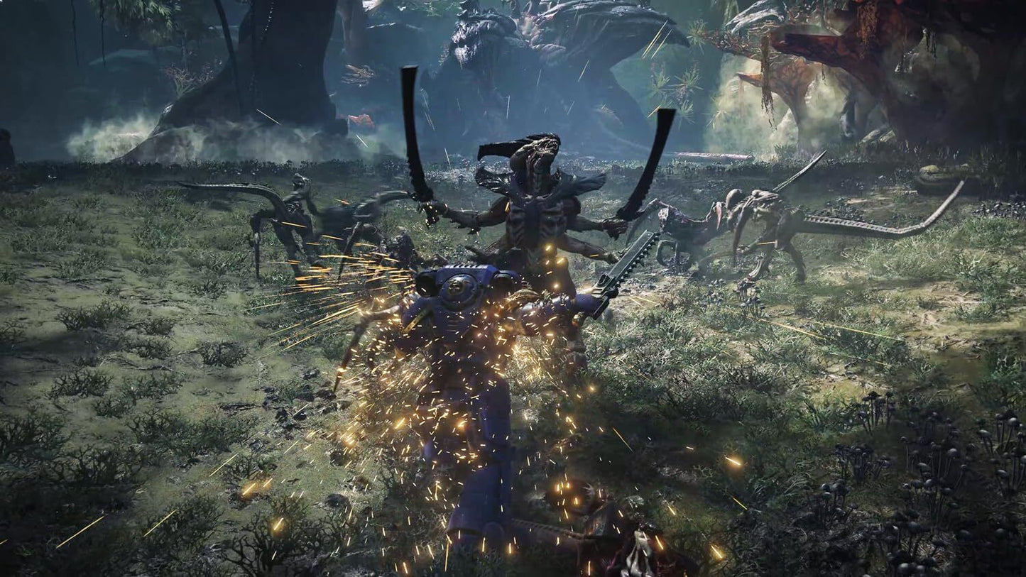 44123732