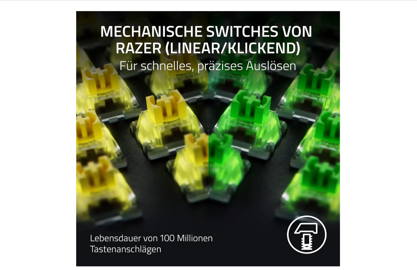 40044907