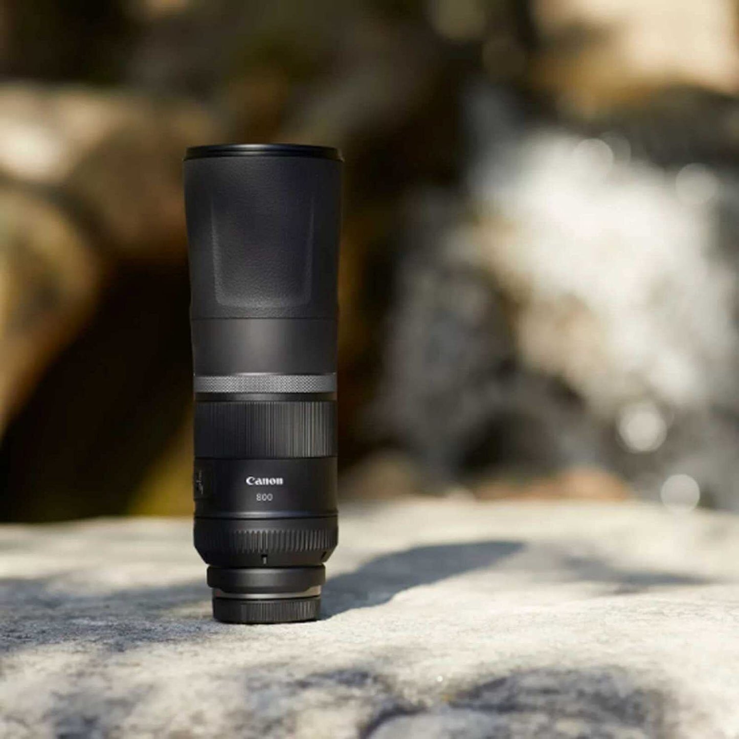 Canon RF 800mm f/11 IS STM Super Telephoto Lens