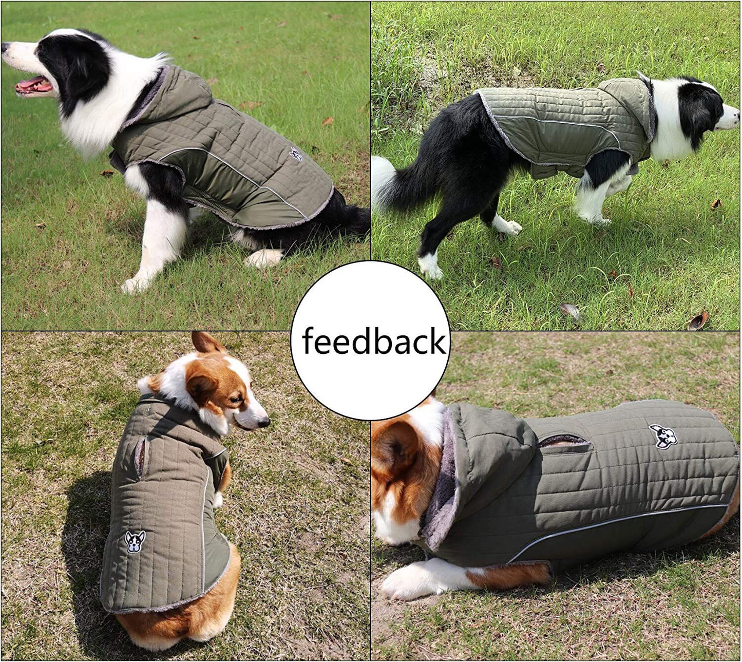 Ctomche Fleece and Cotton Lining Extra Warm Dog Hoodie in Winter Green-XL