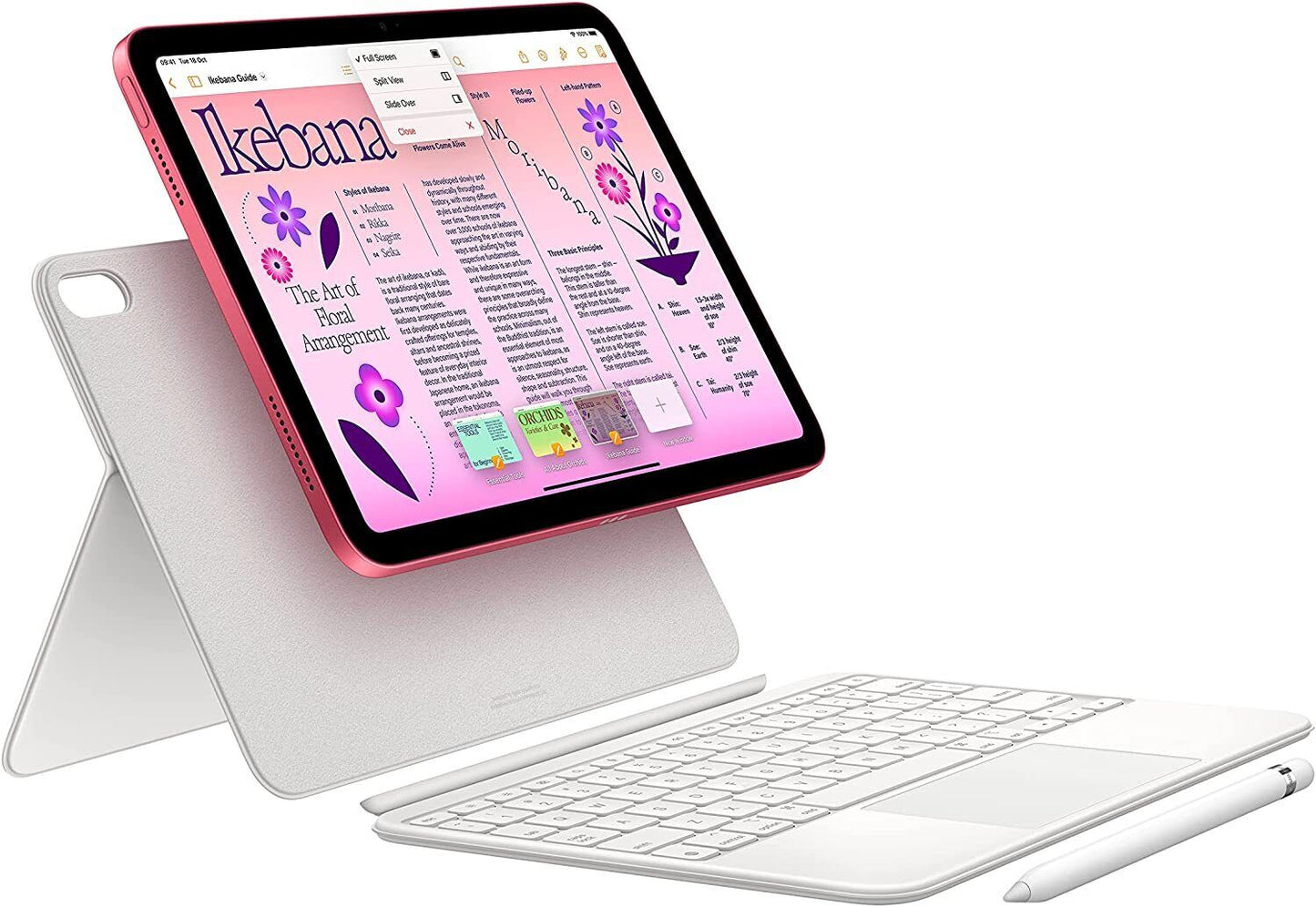 Apple 2022 10.9-inch iPad (Wi-Fi, 256GB) - Silver (10th generation)