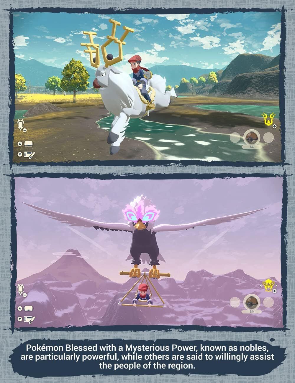41495112