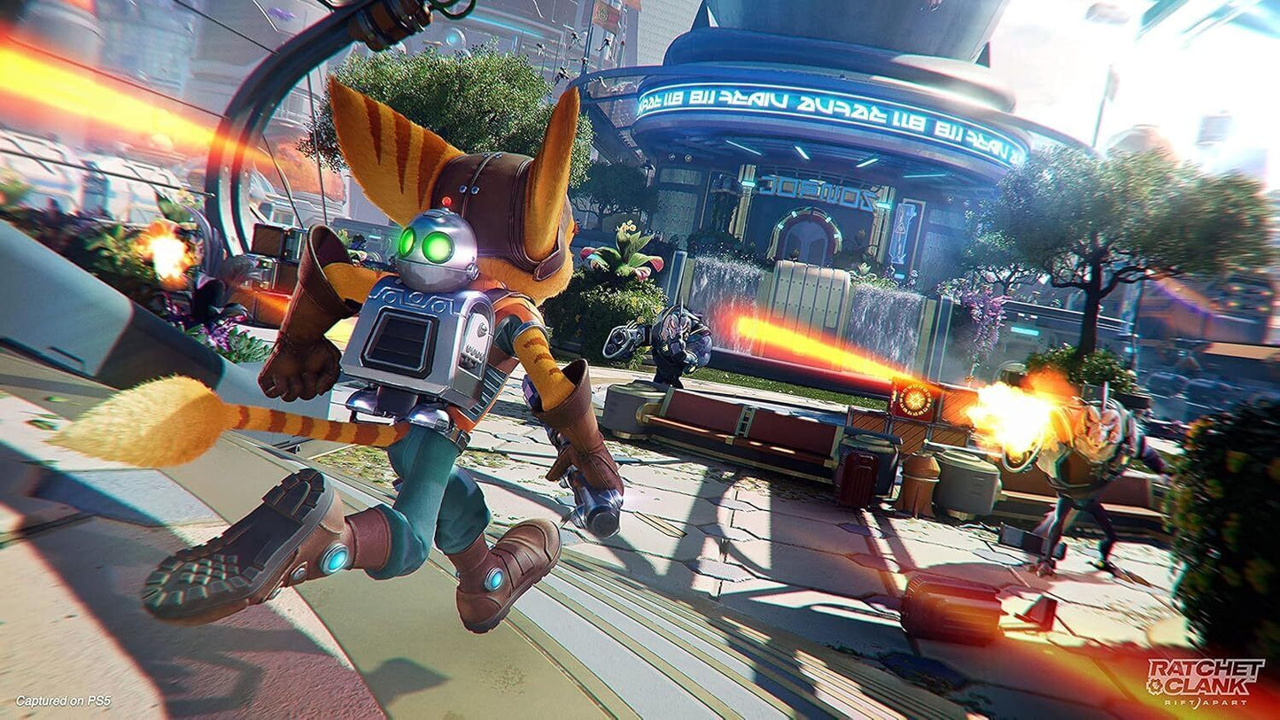 43163529