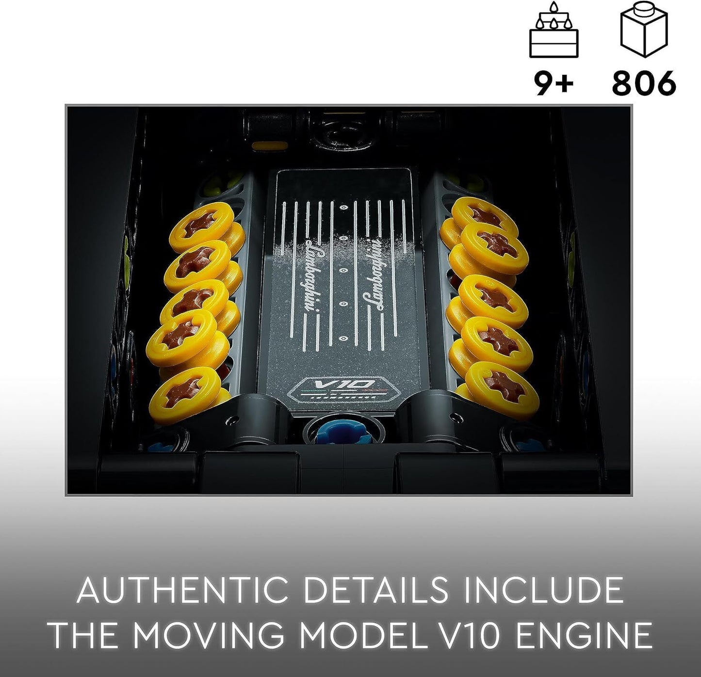 42445926