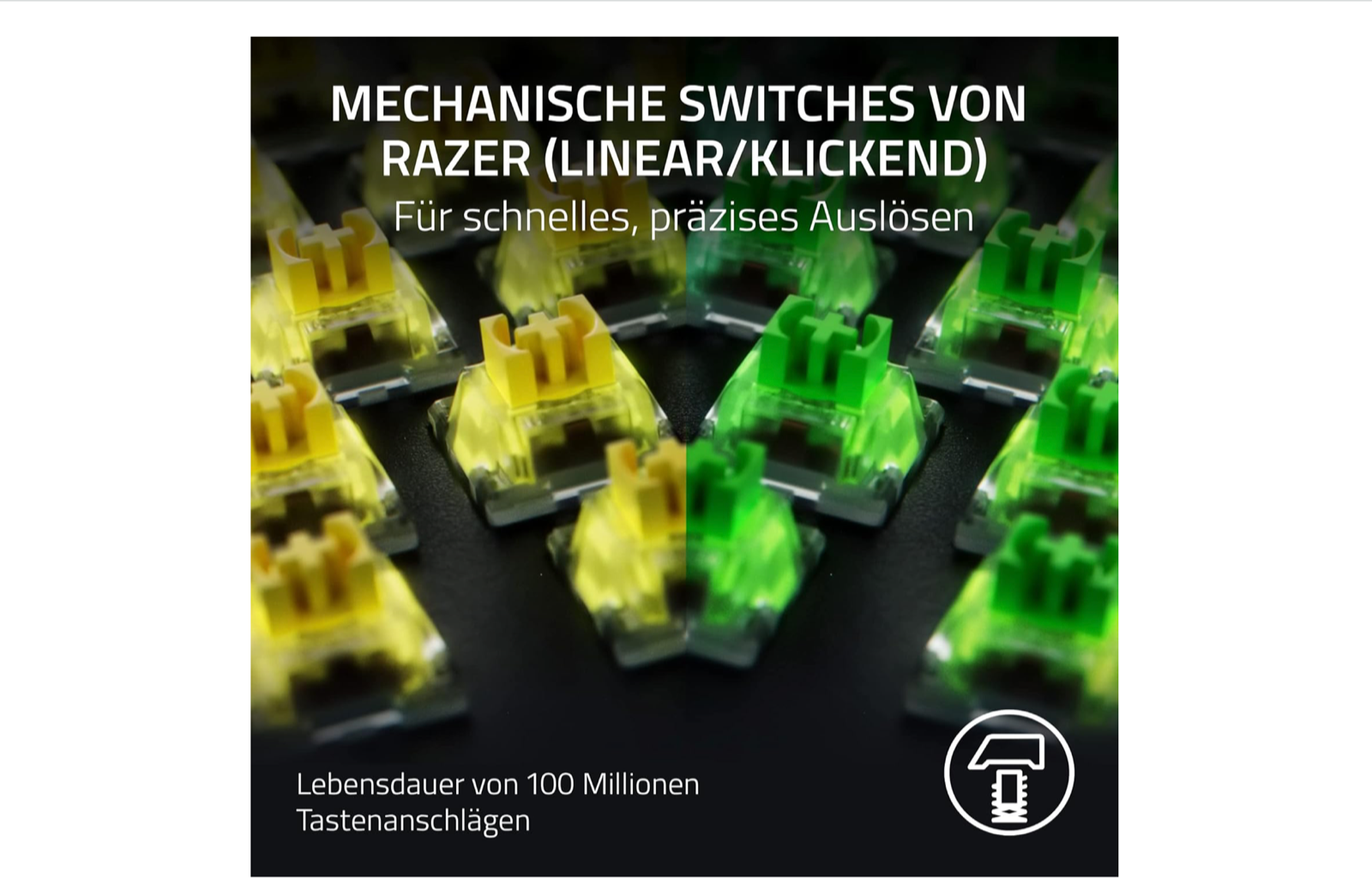 40044907