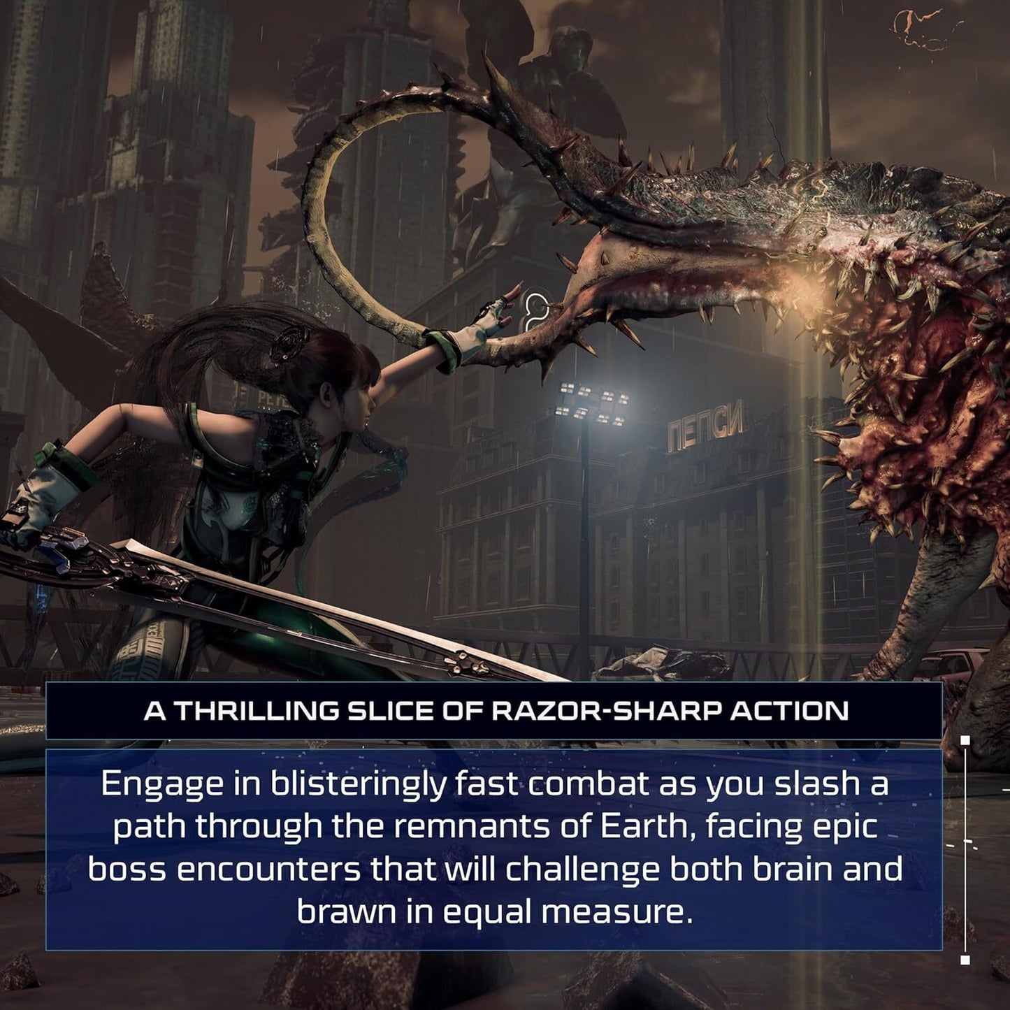 42293075
