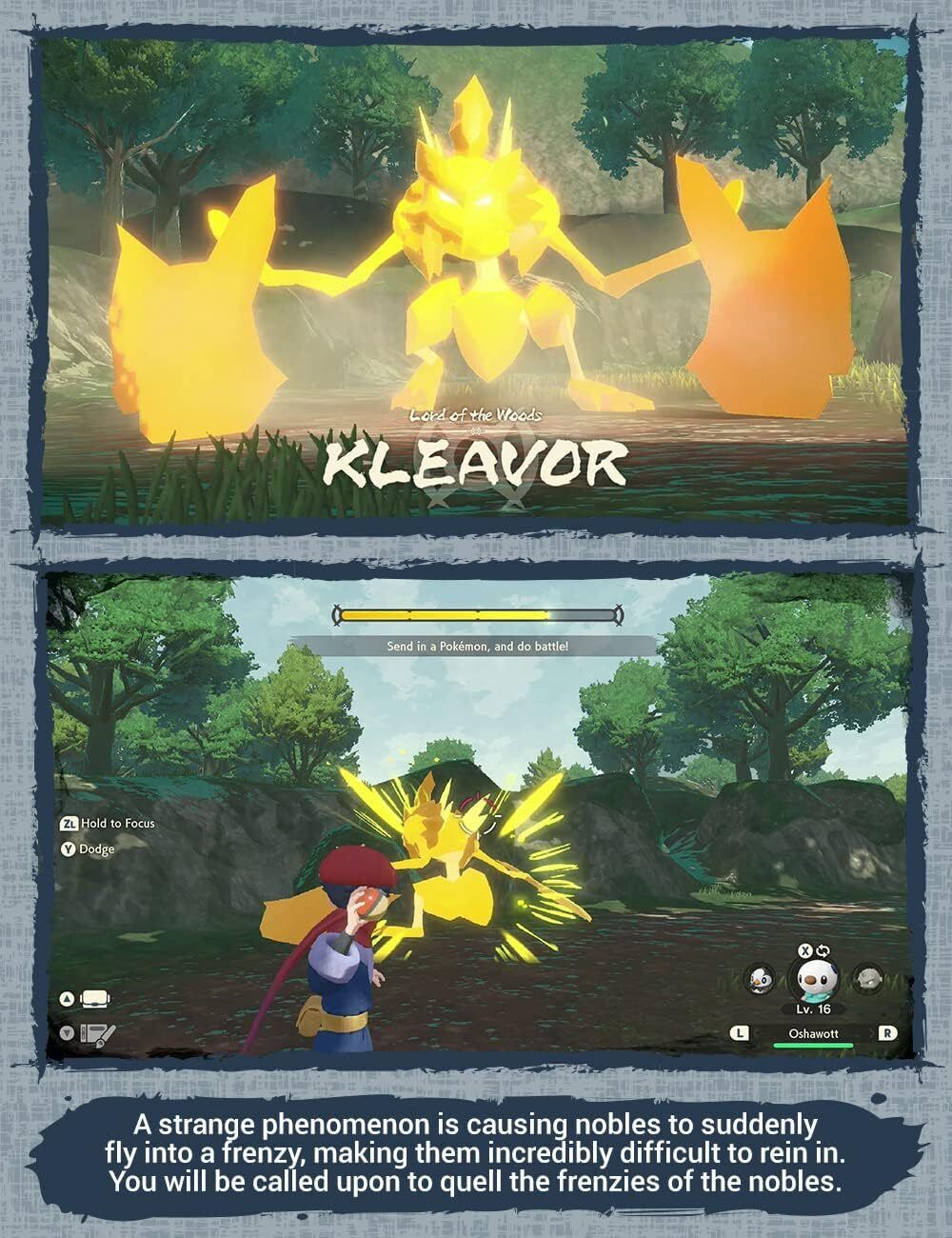 41495112