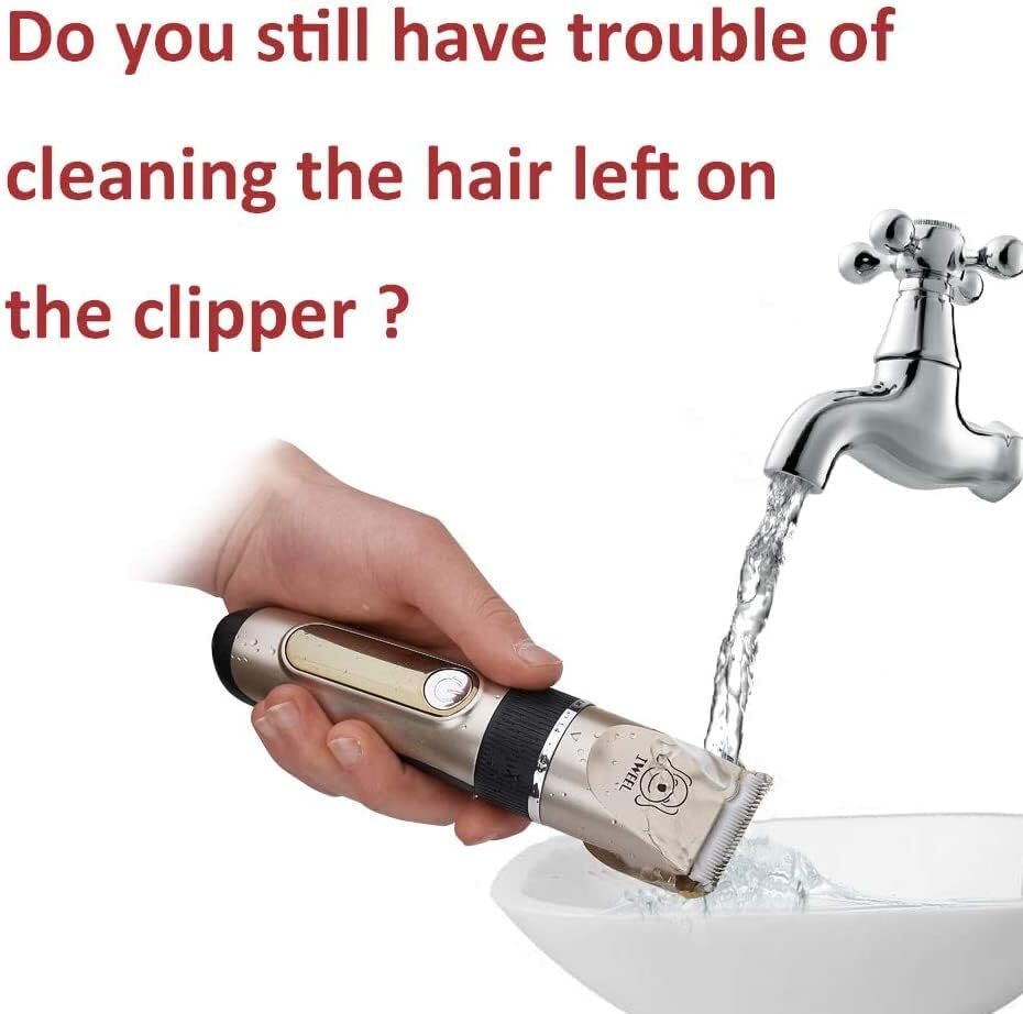 44995730