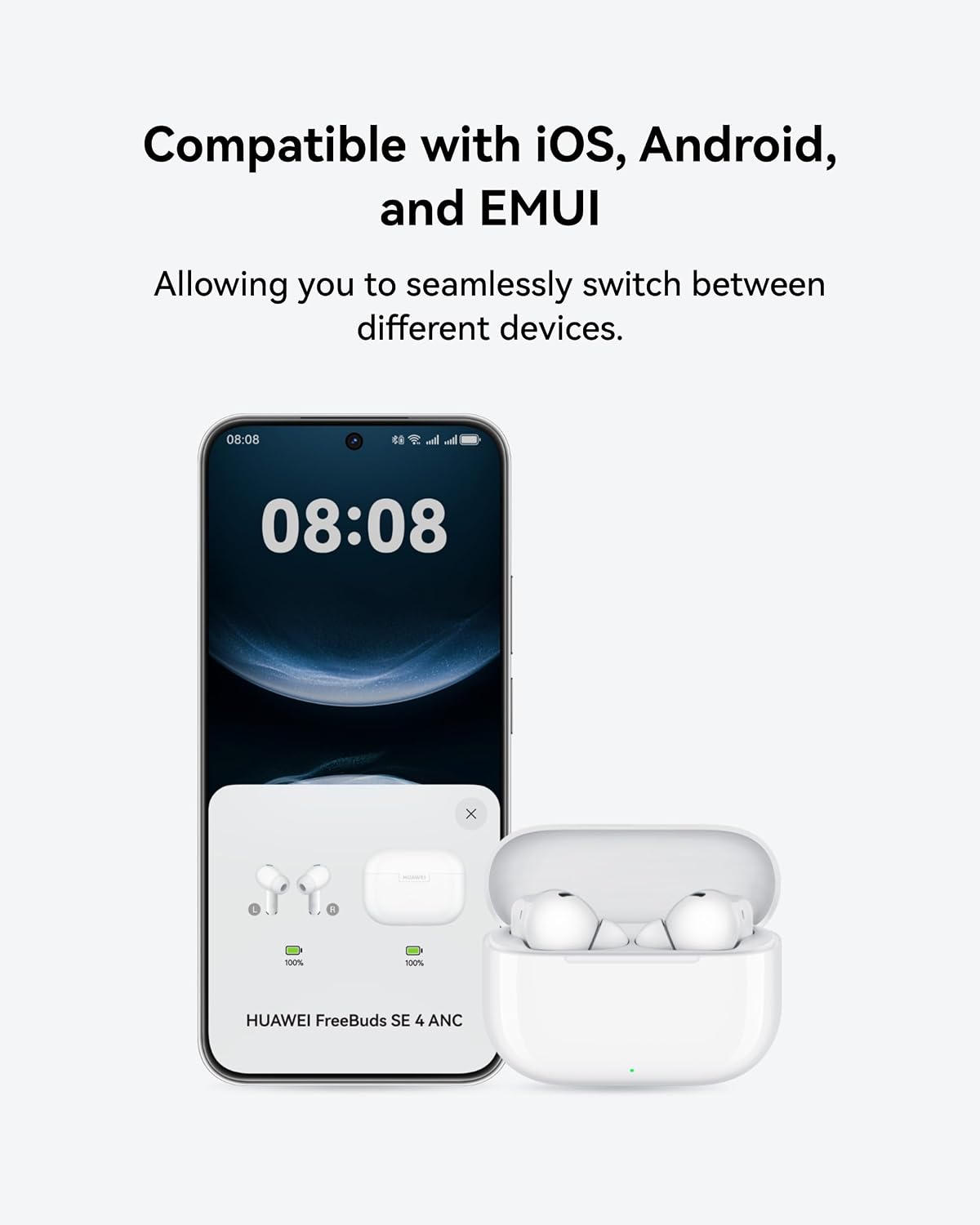 47843053